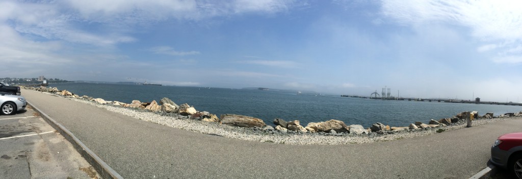 Panorama View Bug Light Park