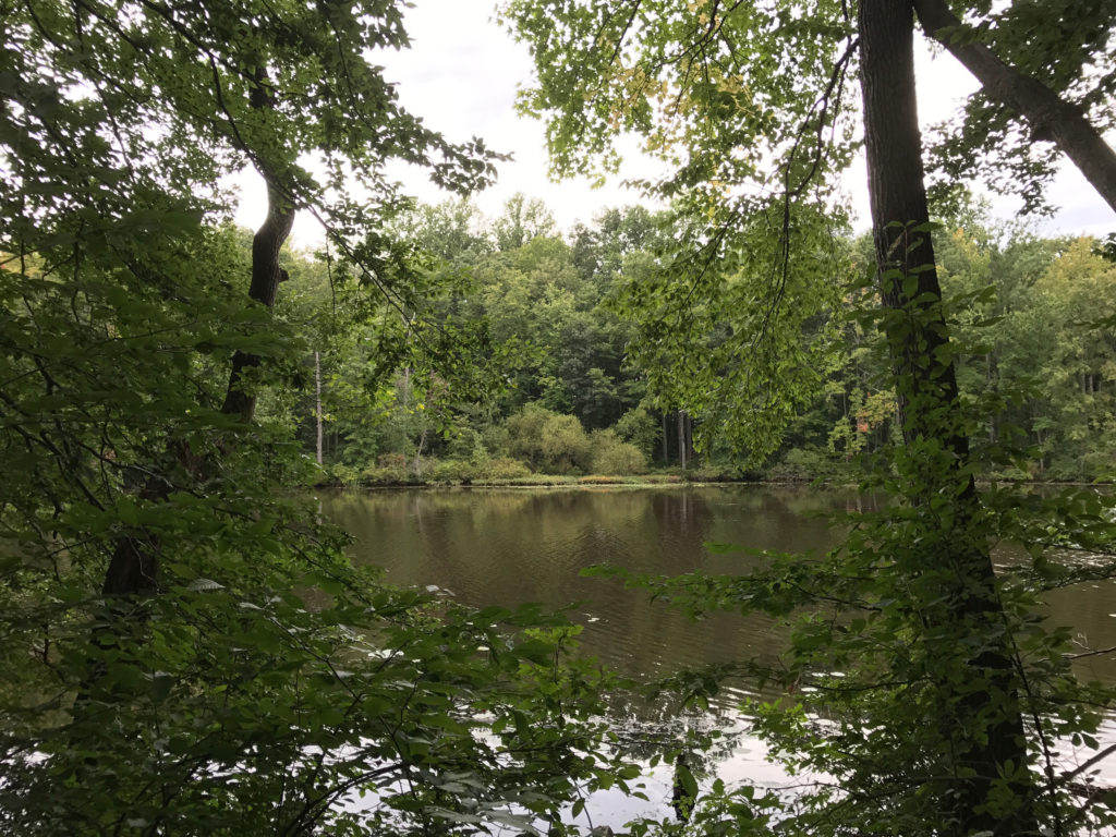 Davidson Mill Pond Park