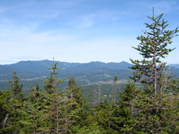 Stowe Pinnacle View