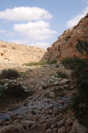 Stream at Ein Fawwar