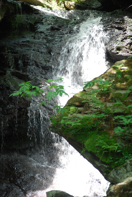 Falls in the Woods towards Nebraska Notch