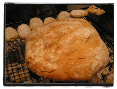 no_knead_bread_2a.jpg