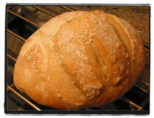 no_knead_bread_2b.jpg