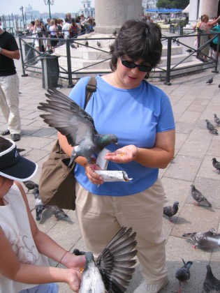 Pigeons in Venice