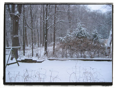 snow_3.jpg