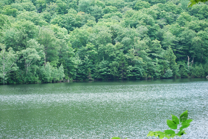 Trout Lake (which is Private) - From the Trail