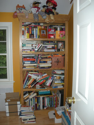 Cluttered Bookcase