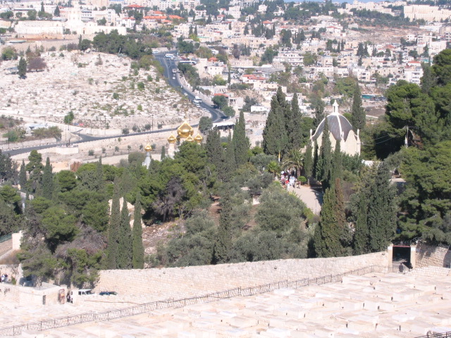 Garden of Getsemane