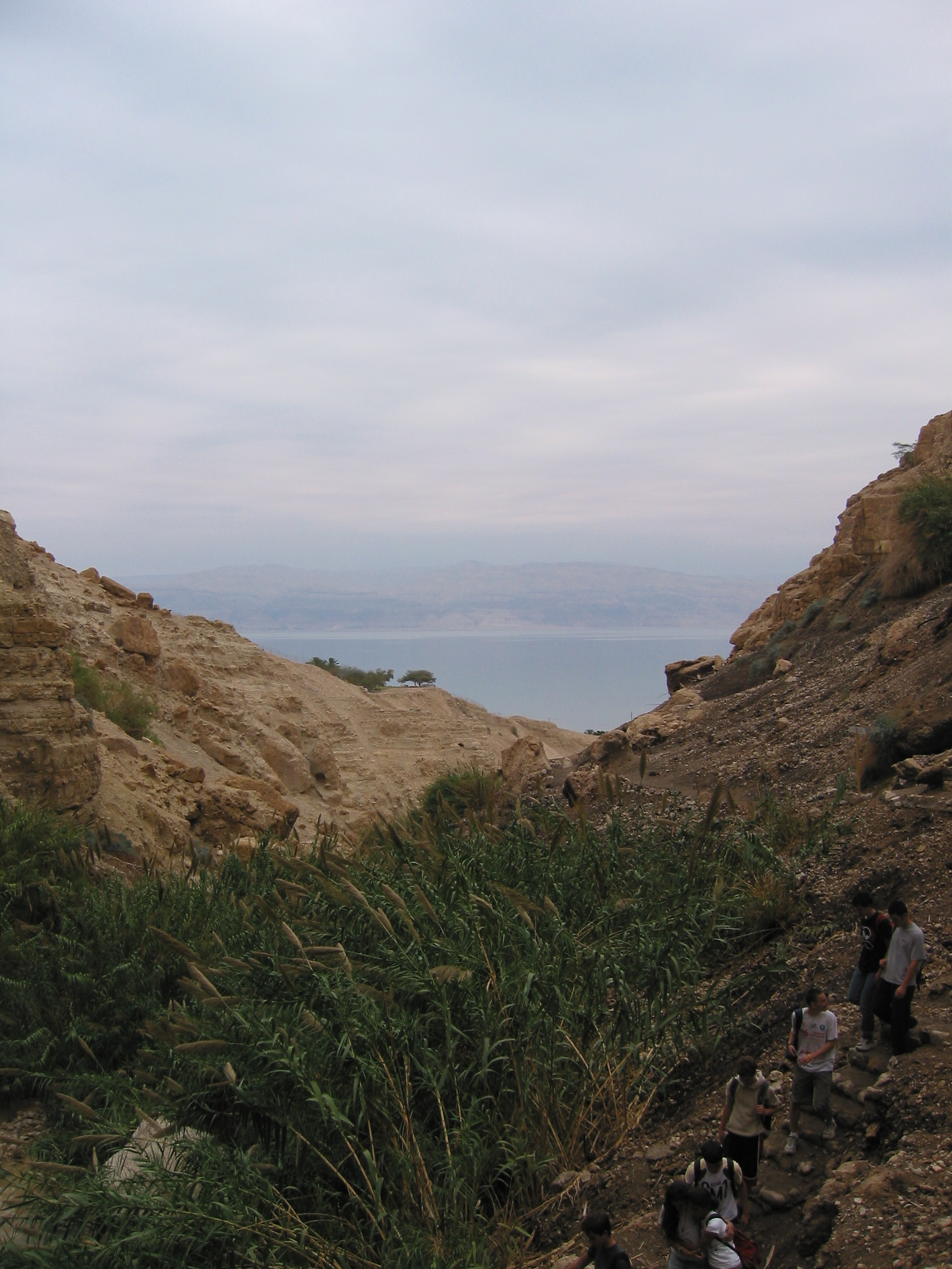 Dead Sea from Ein Gedi