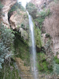 Falls at Ein Gedi