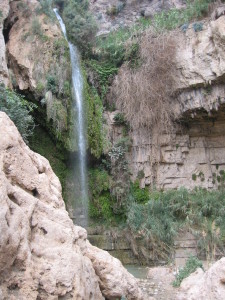 Falls at Ein Gedi