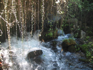 Rushing River at Banya Springs