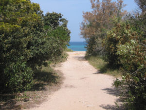 Beach at Torre Guaceto