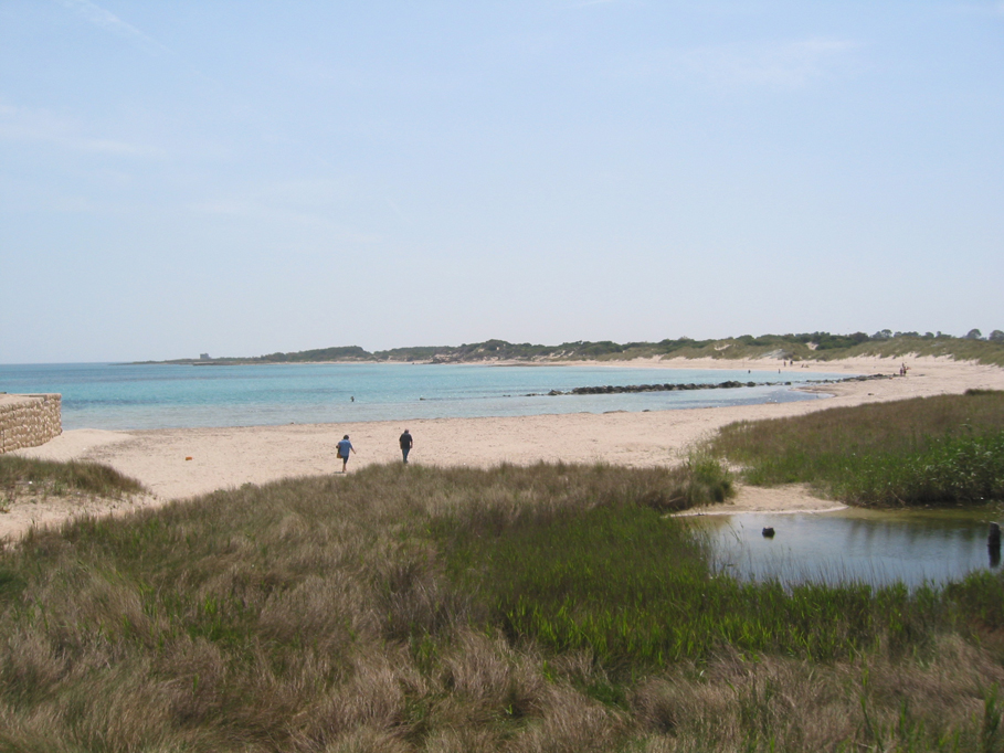 Beach at Torre Guaceto