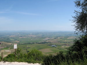 Montalcino