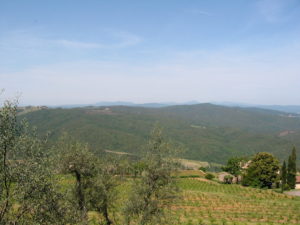 Montalcino