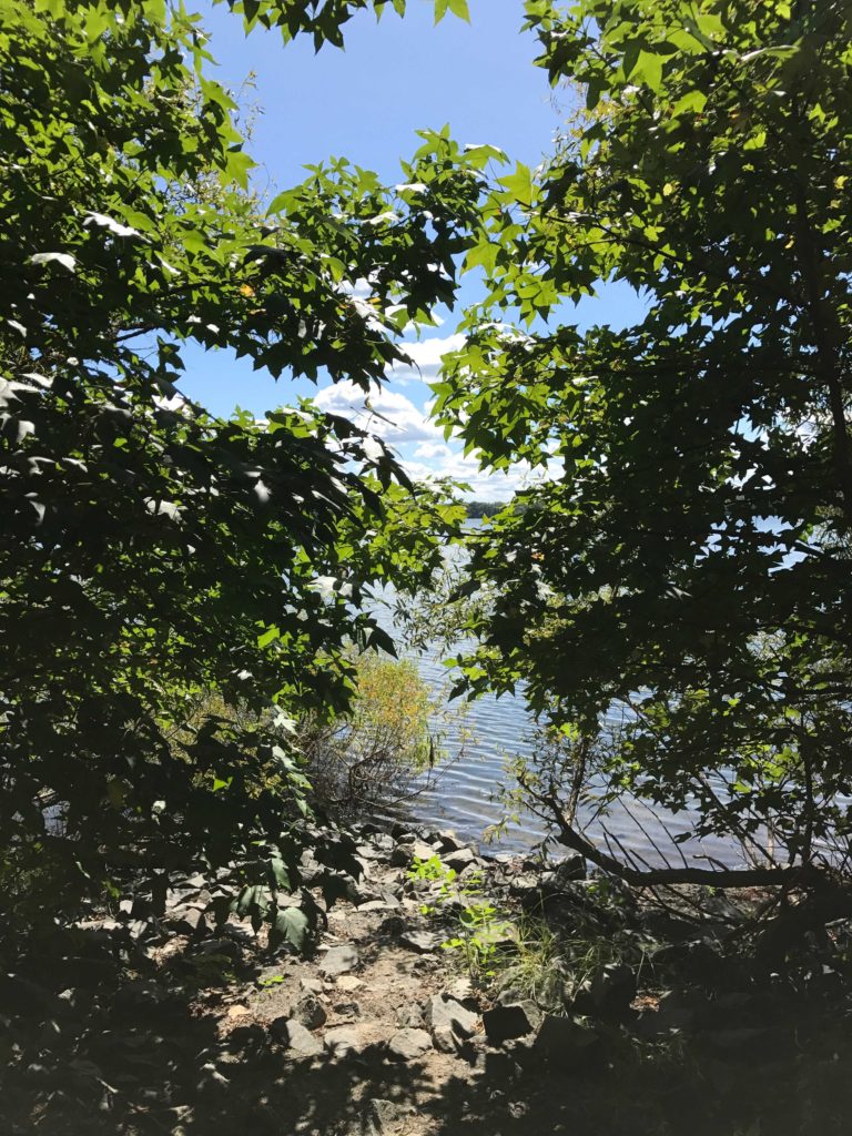 Manasquan Reservoir